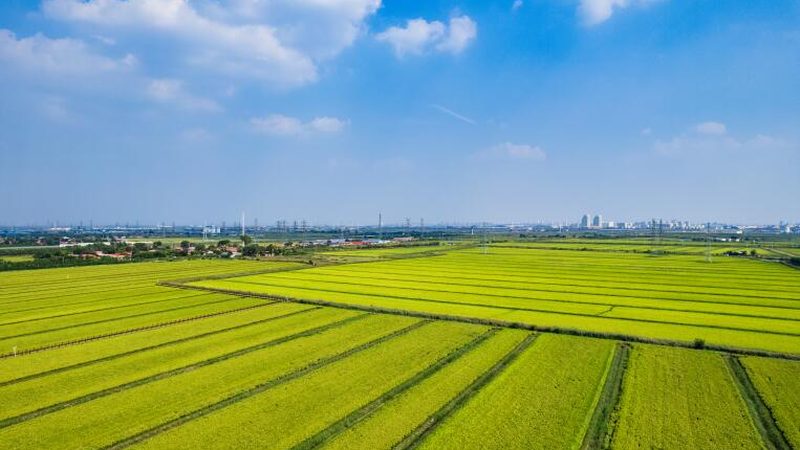 农民专业合作社的经营范围，这样写才合规又实用