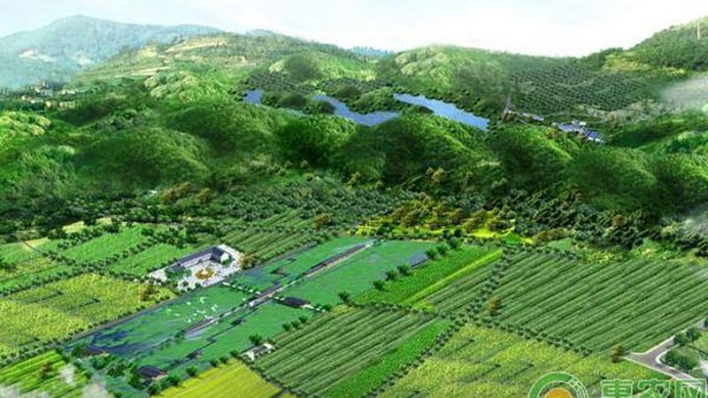 农资短视频获客技巧教程