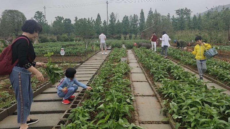 植保无人机型号区别对比