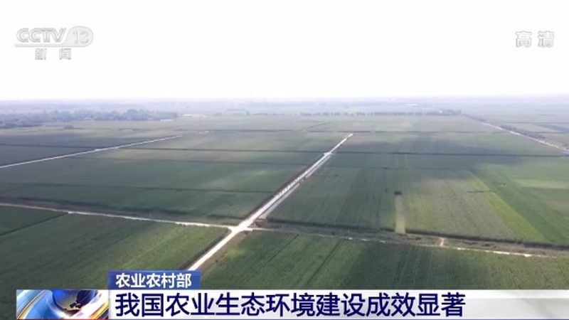 大规模粮食种植基地如何选？关键在于这些因素**