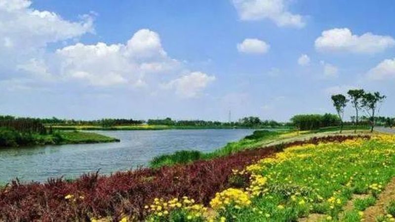 有机蔬菜与无公害蔬菜：标准解析与区别对比