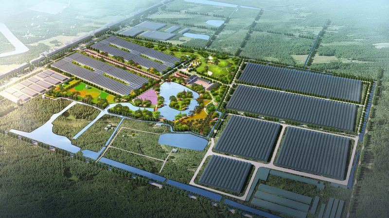 农业项目标准规范制定流程：从需求到实施
