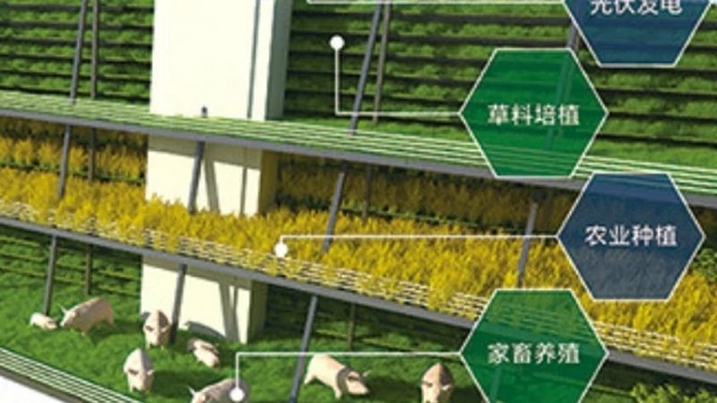 生态农业循环经济模式：揭秘高效可持续的农业未来