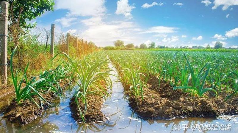 设施农业安装施工，这五大步骤不能少