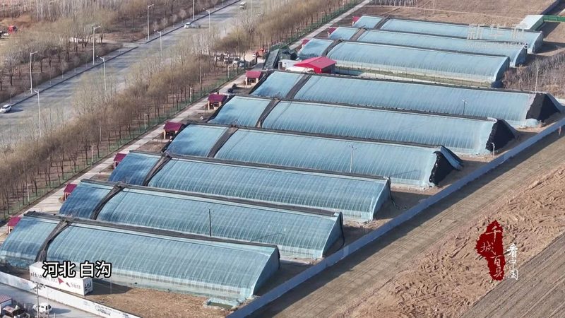生鲜配送品牌加盟价格对比