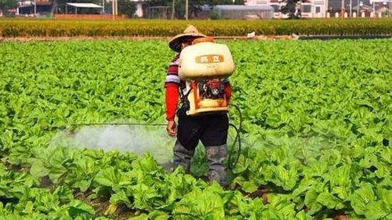温室种植技术标准：全面解析与下载指南**