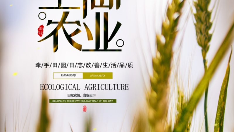 农产品价格行情查询，这样操作更精准