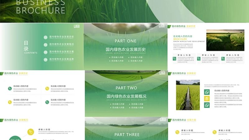 种植业保险投保流程：步步为营，保障丰收**